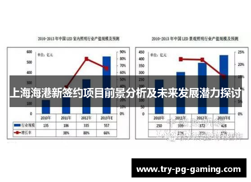 上海海港新签约项目前景分析及未来发展潜力探讨