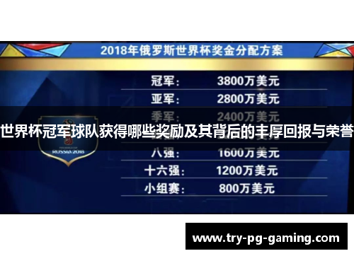 世界杯冠军球队获得哪些奖励及其背后的丰厚回报与荣誉