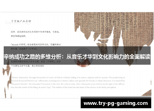 辛纳成功之路的多维分析：从音乐才华到文化影响力的全面解读