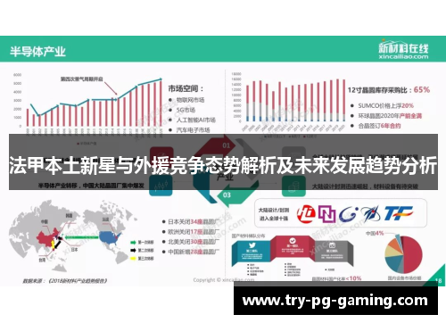 法甲本土新星与外援竞争态势解析及未来发展趋势分析
