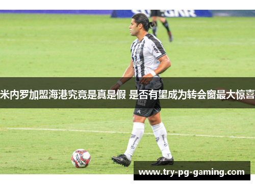 米内罗加盟海港究竟是真是假 是否有望成为转会窗最大惊喜