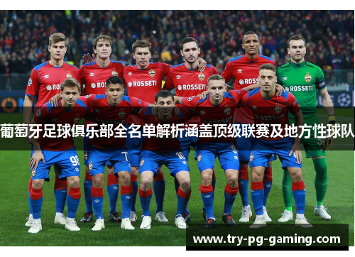 葡萄牙足球俱乐部全名单解析涵盖顶级联赛及地方性球队