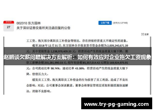 赵鹏谈欠薪问题解决方案解析:如何有效应对企业拖欠工资现象 赵鹏谈欠薪问题解决方案解析:如何有效应对企业拖欠工资现象